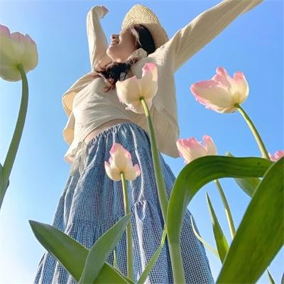 沙漠孤心